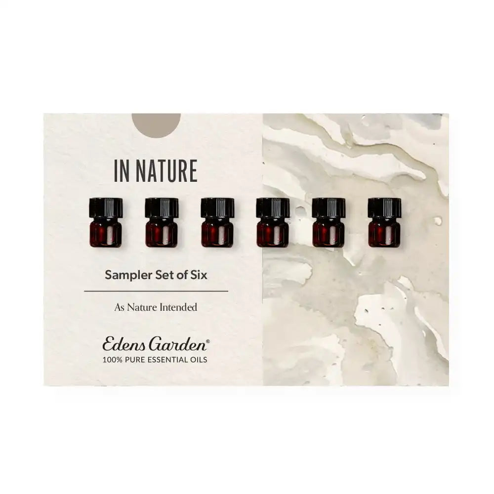 In Nature Discovery Sampler Set of 6