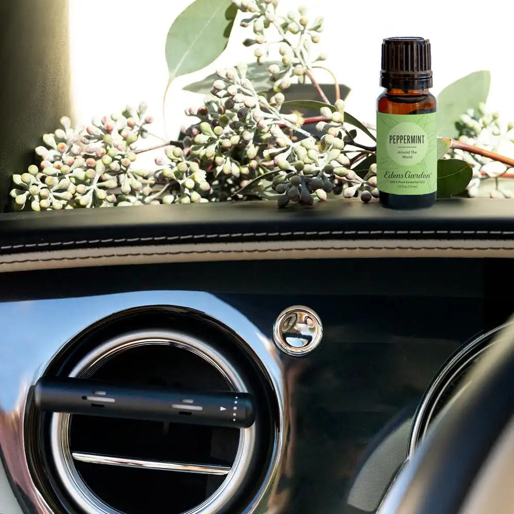 Peppermint Around The World Oil & Aromaride Car Diffuser