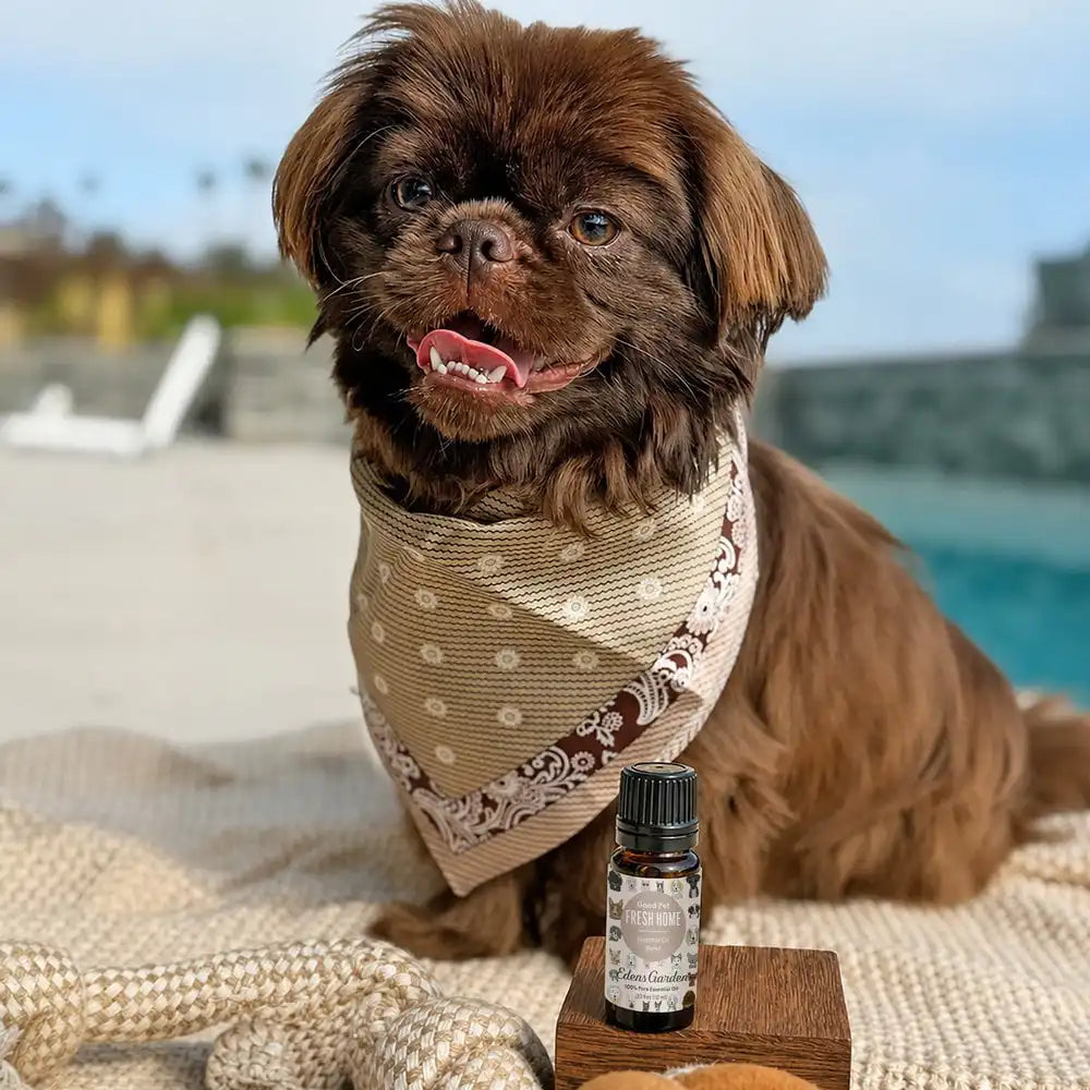 Good Pet Fresh Home Essential Oil Blend - Natural, Pet-Safe, Made with 100% Pure Essential Oils