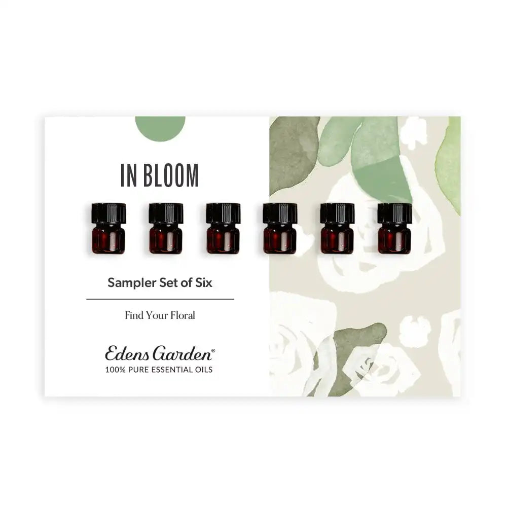 In Bloom Discovery Sampler Set of 6