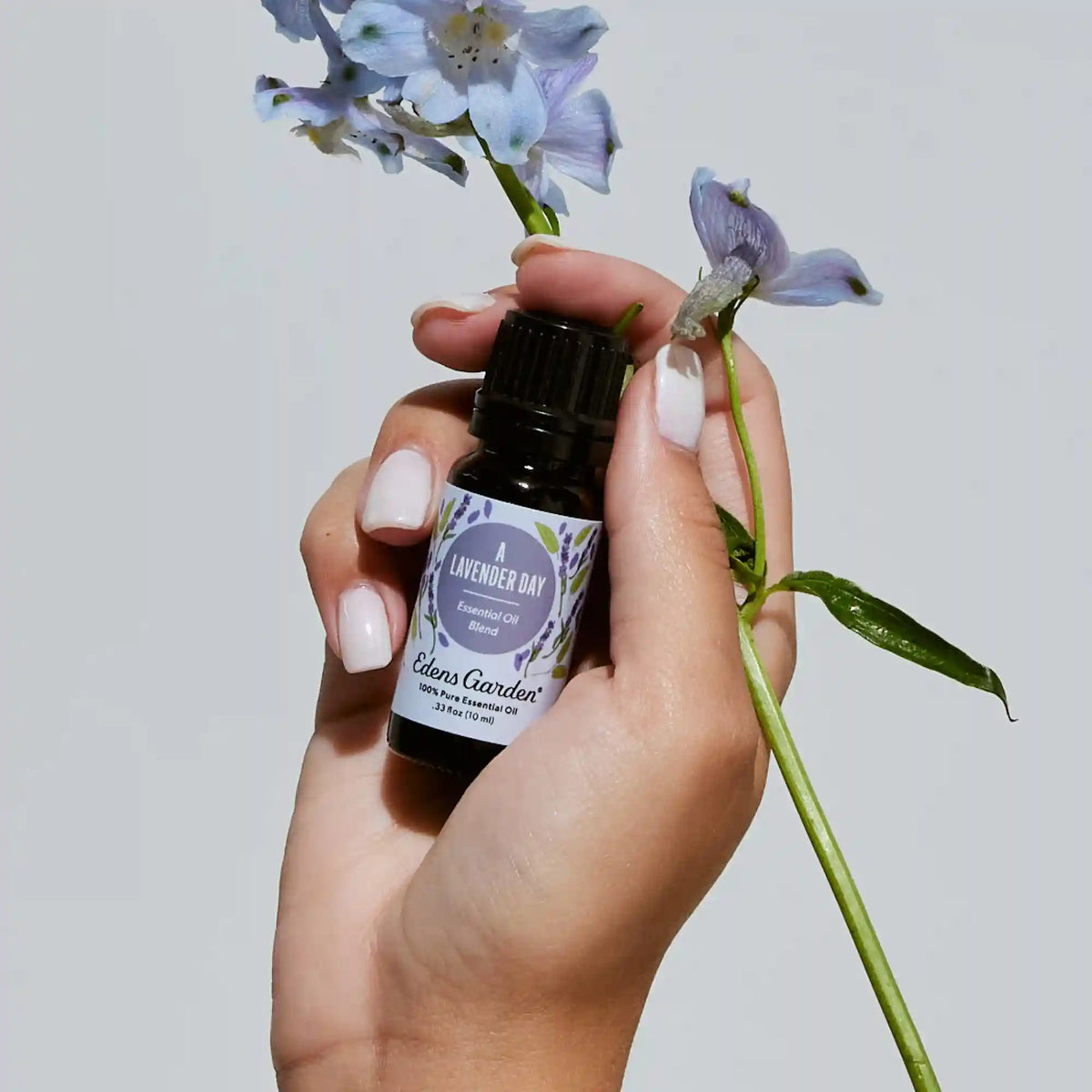 A Lavender Day Essential Oil Blend- Tranquil & Soothing Floral Aroma For Relaxing