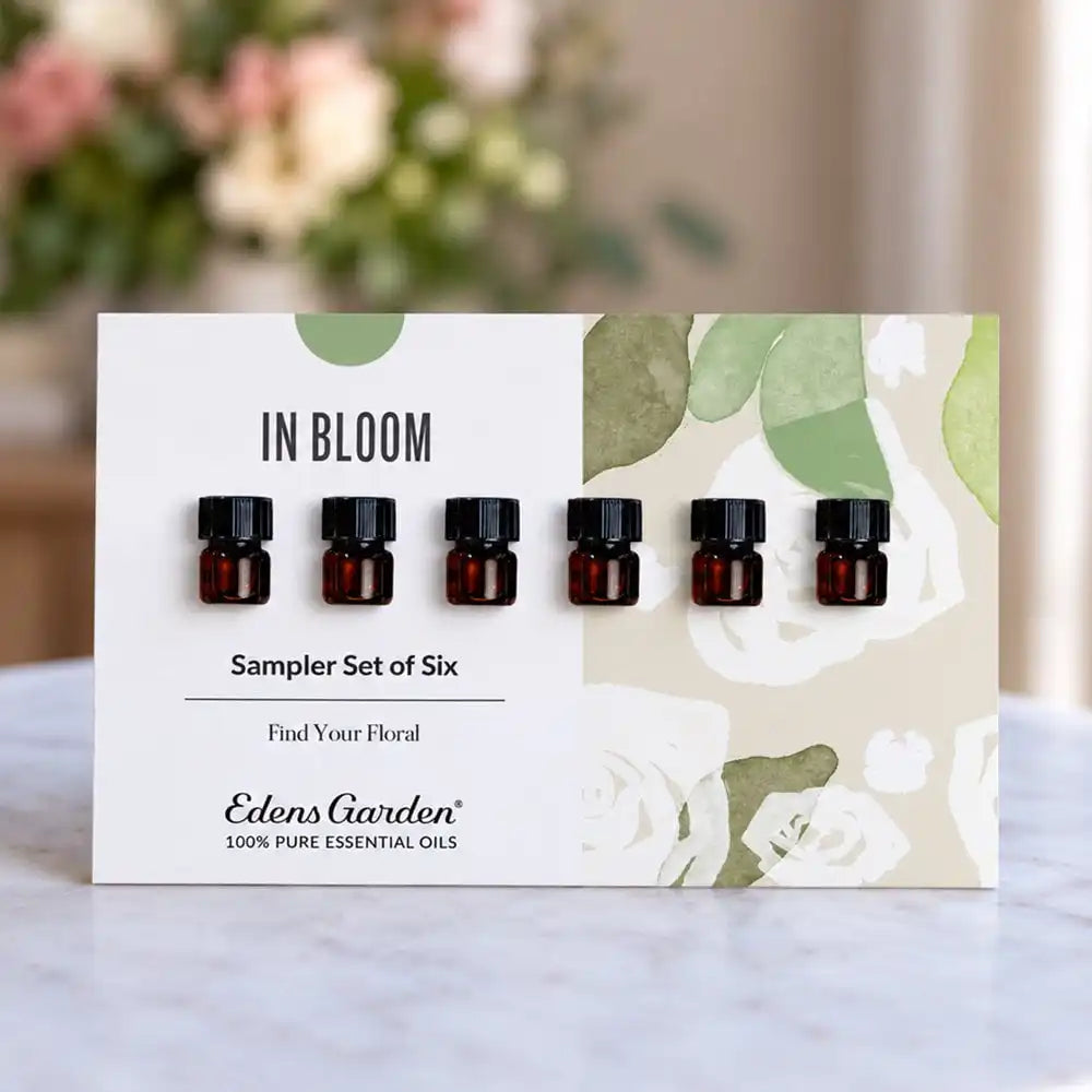In Bloom Discovery Sampler Set of 6