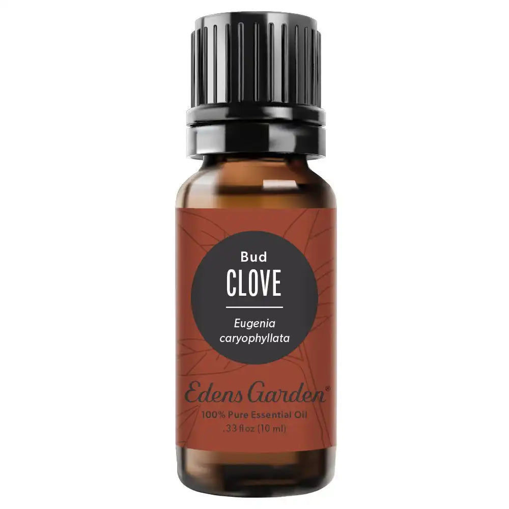 Clove- Bud Essential Oil
