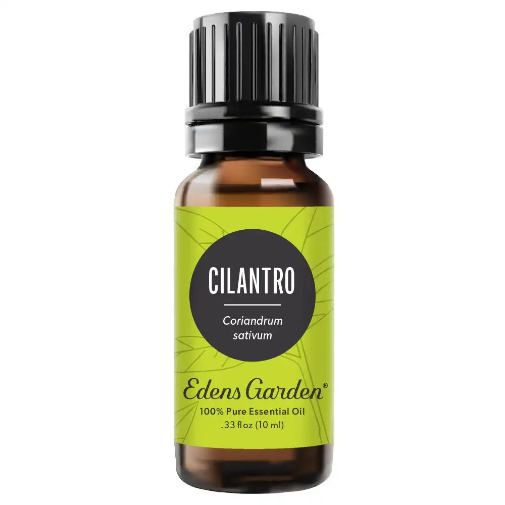 Cilantro Essential Oil