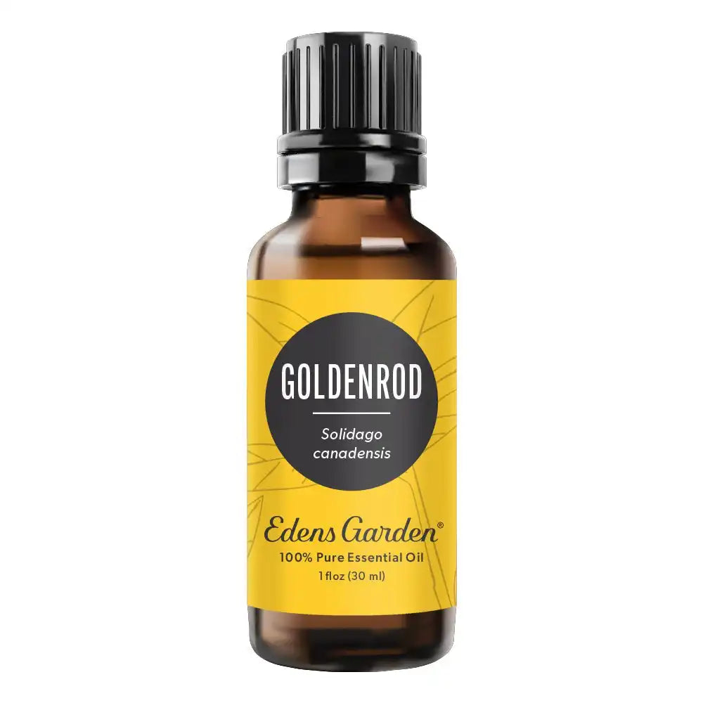 Goldenrod Essential Oil