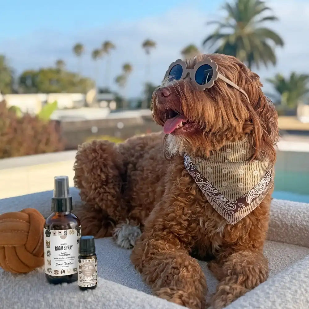 Good Pet Fresh Home Essential Oil Room Spray - Natural and Pet-Safe