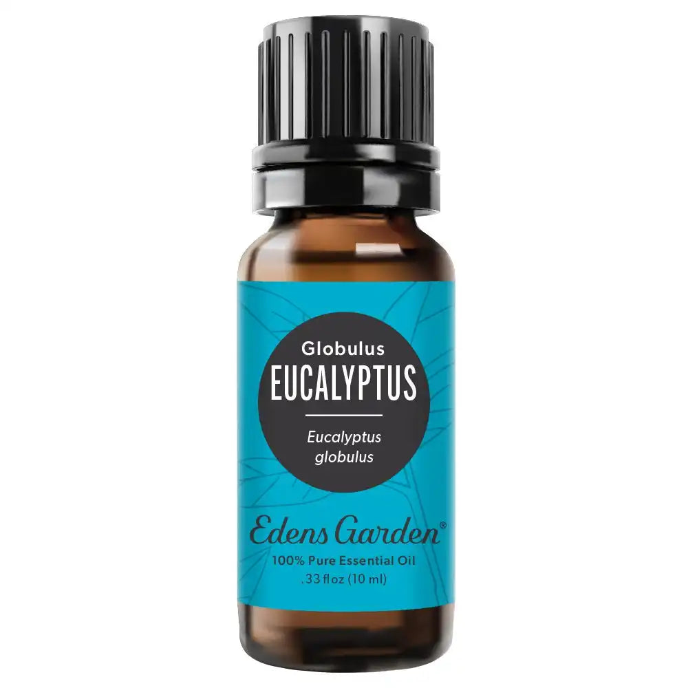 Eucalyptus- Globulus Essential Oil