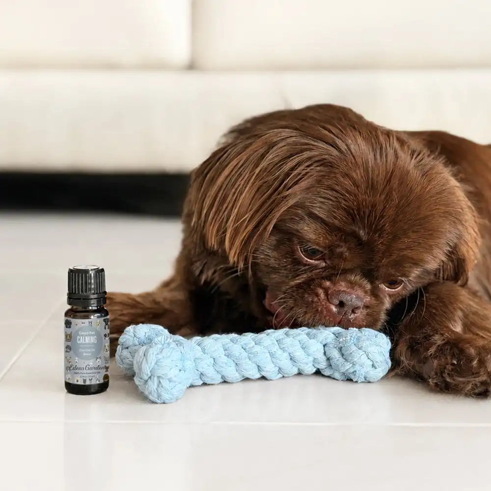 Good Pet Calming Essential Oil Blend - Natural, Pet-Safe, Made with 100% Pure Essential Oils