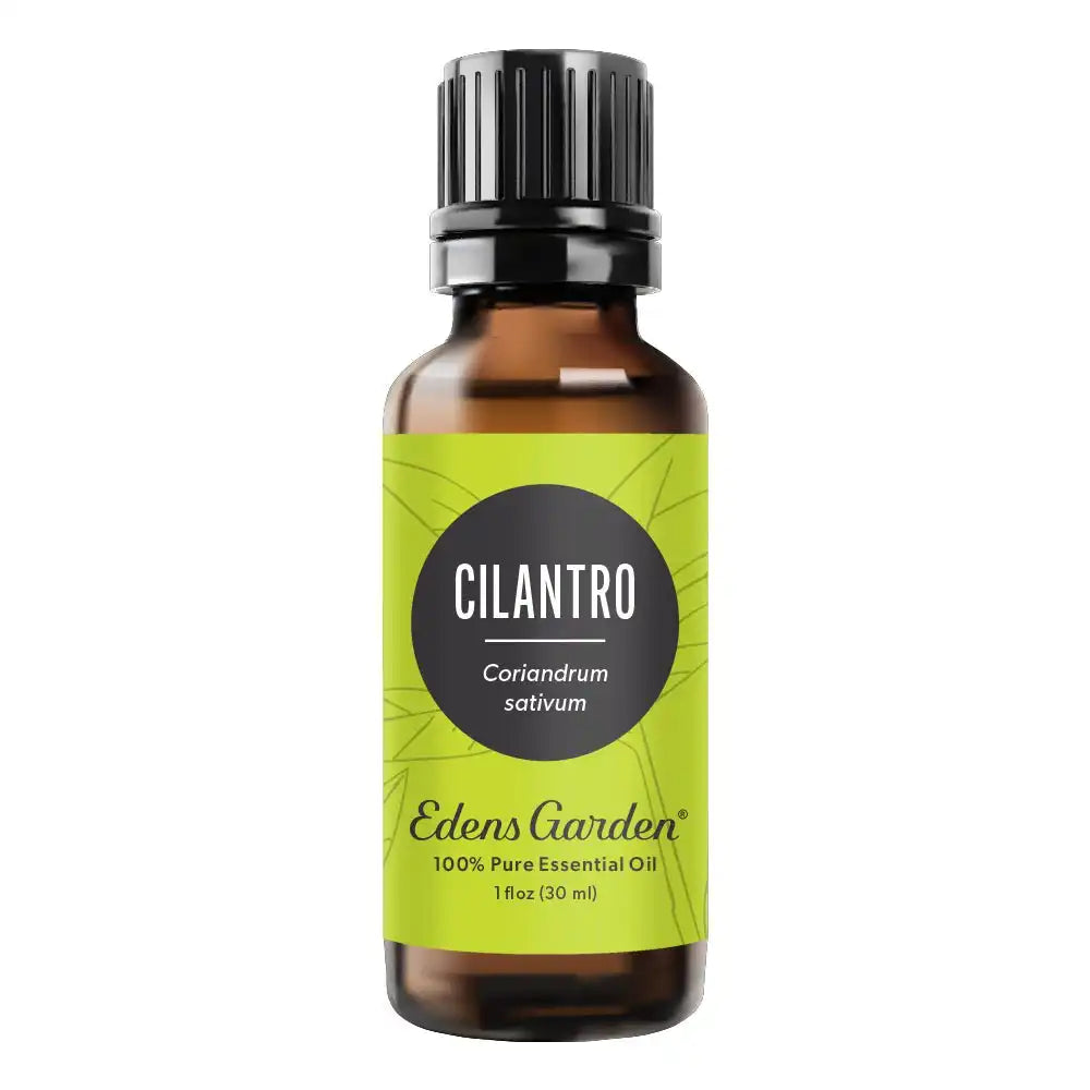 Cilantro Essential Oil
