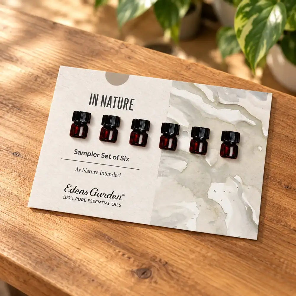 In Nature Discovery Sampler Set of 6